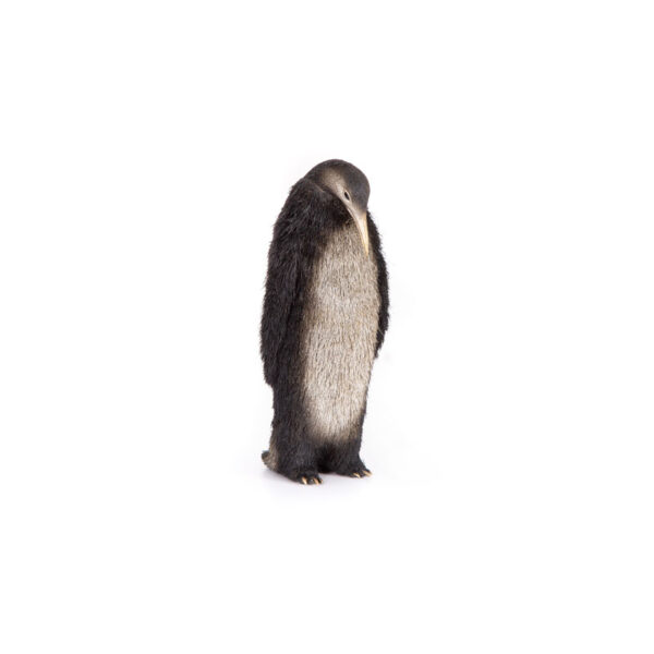 مجسمه پنگوئن کوچک 2